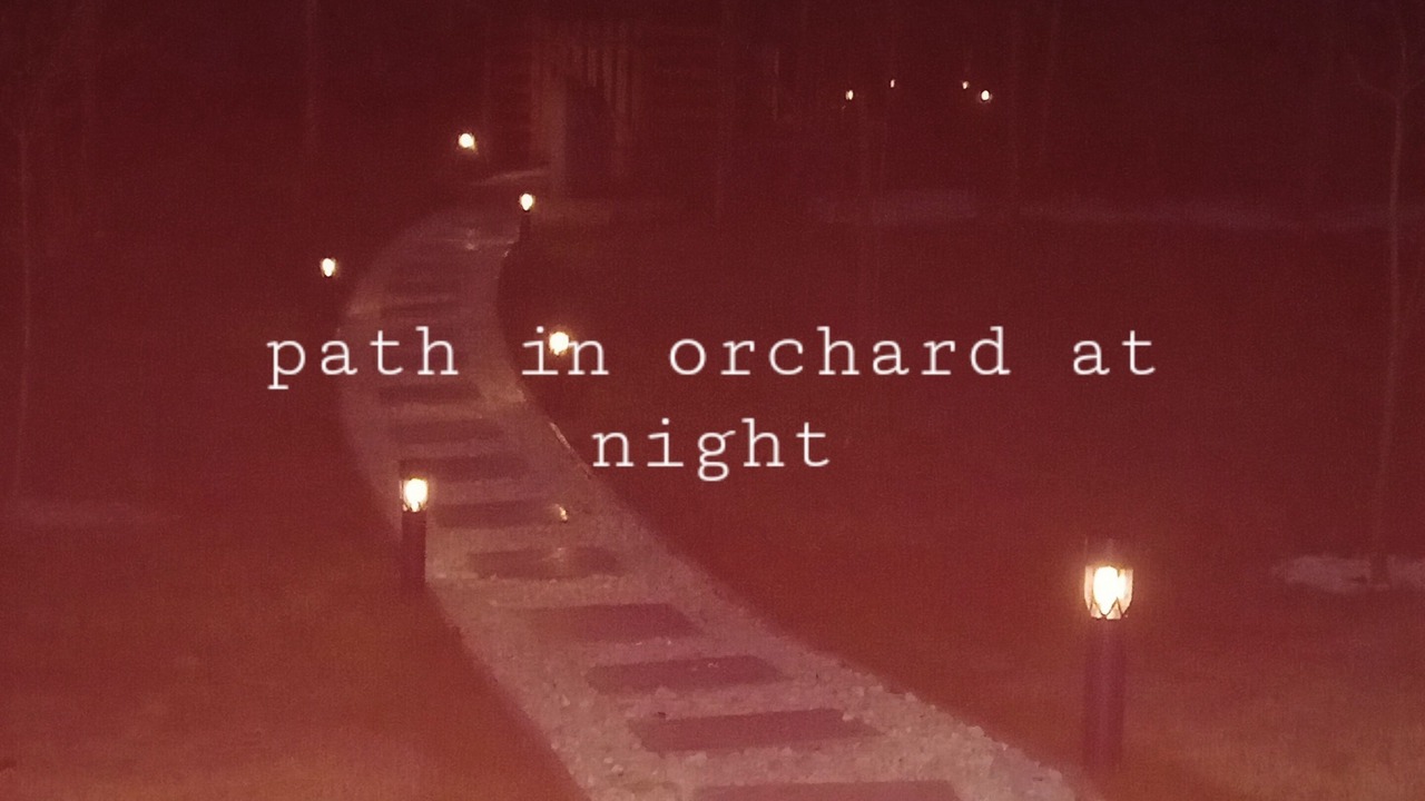 Photo of Outdoor in Moitas