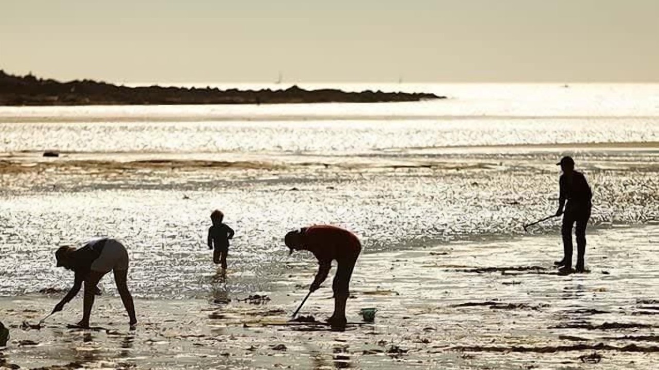 Photo of Others in Larmor-Plage