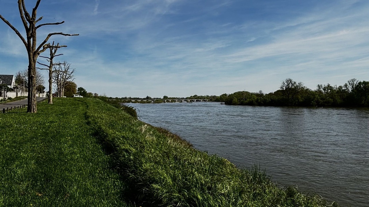 Photo of Others in Beaugency