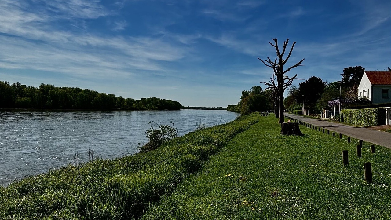 Photo of Others in Beaugency