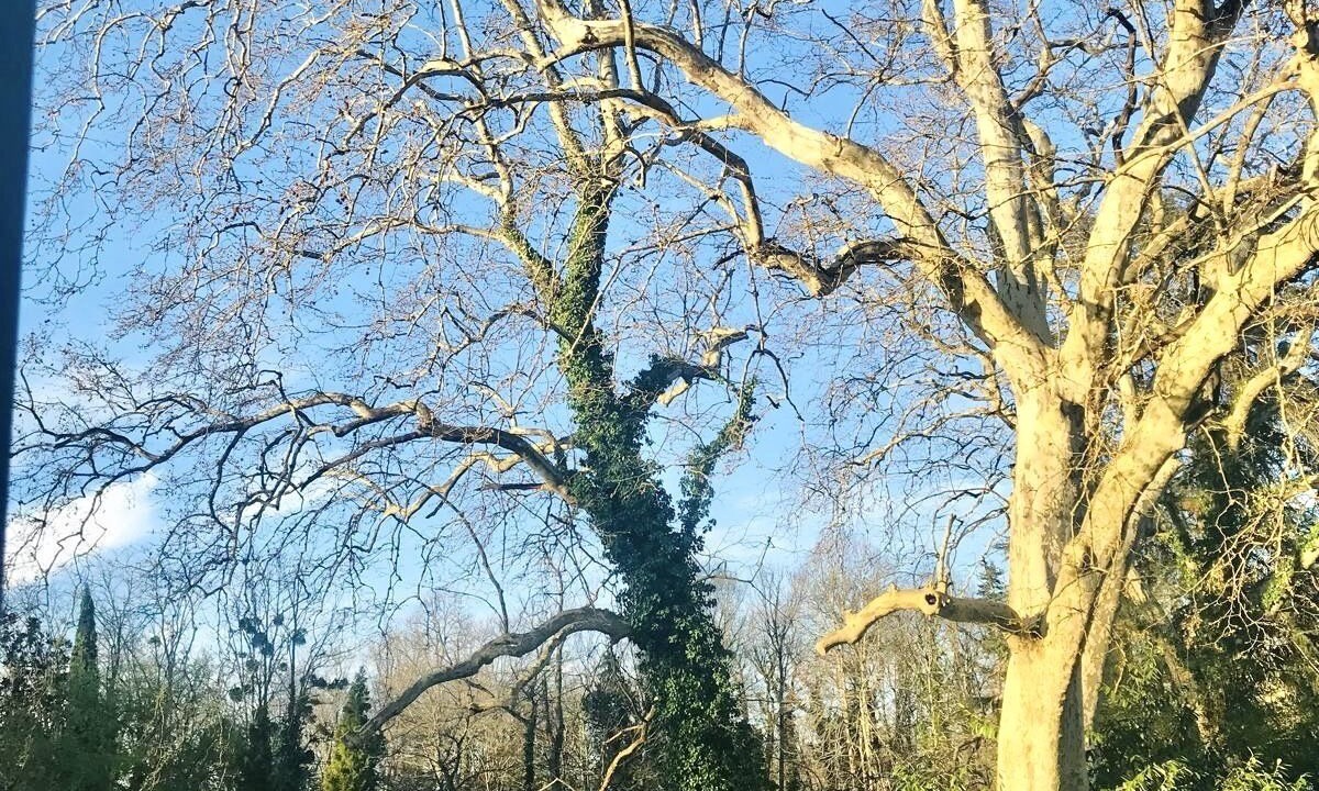 Photo of Outdoor in Langon