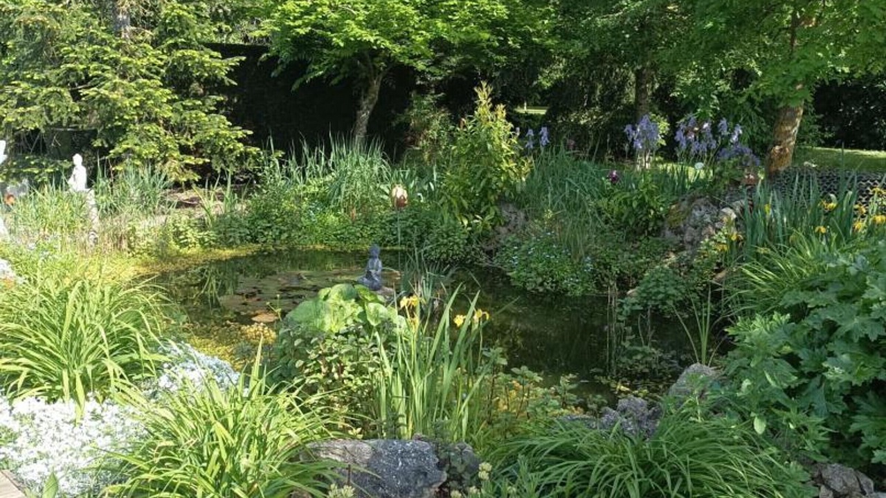 Photo of Outdoor in Feings