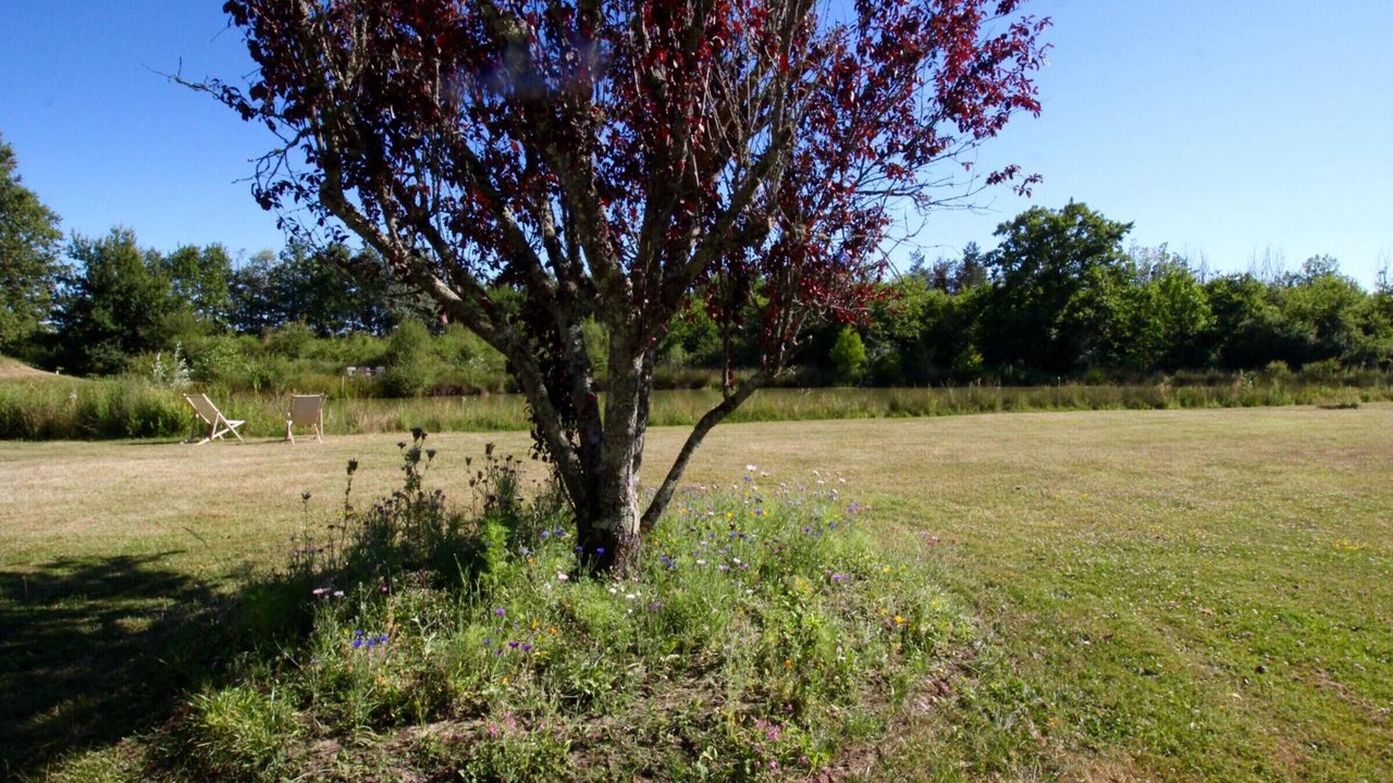 Photo of Outdoor in Contres