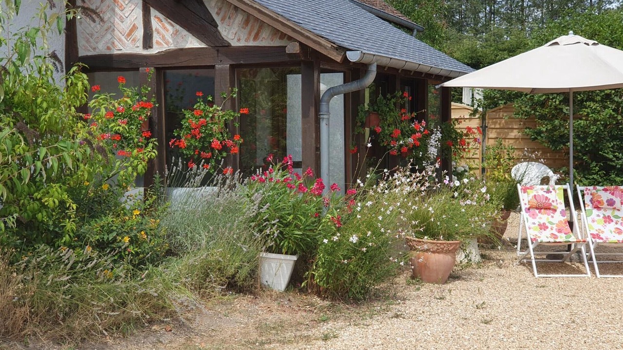 Photo of Outdoor in Contres