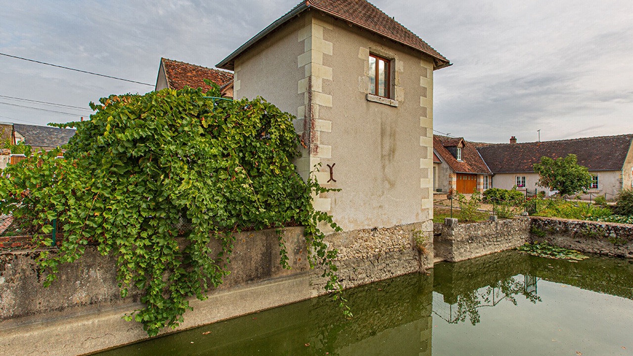 Photo of Others in Chouzy-sur-Cisse