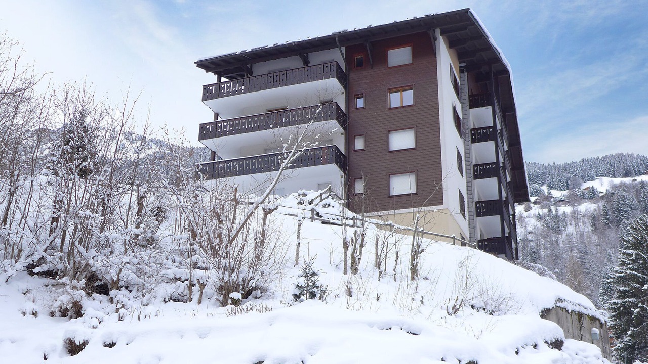 Photo of Others in Champery