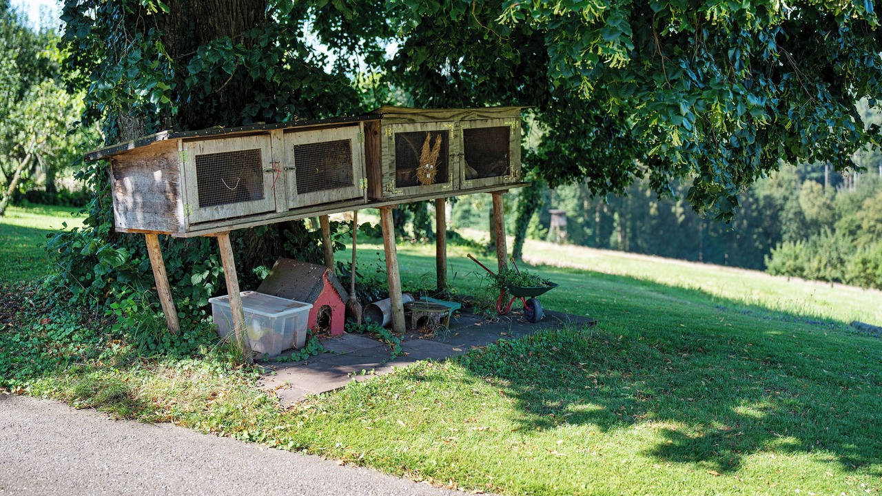 Photo of Outdoor in Freiamt