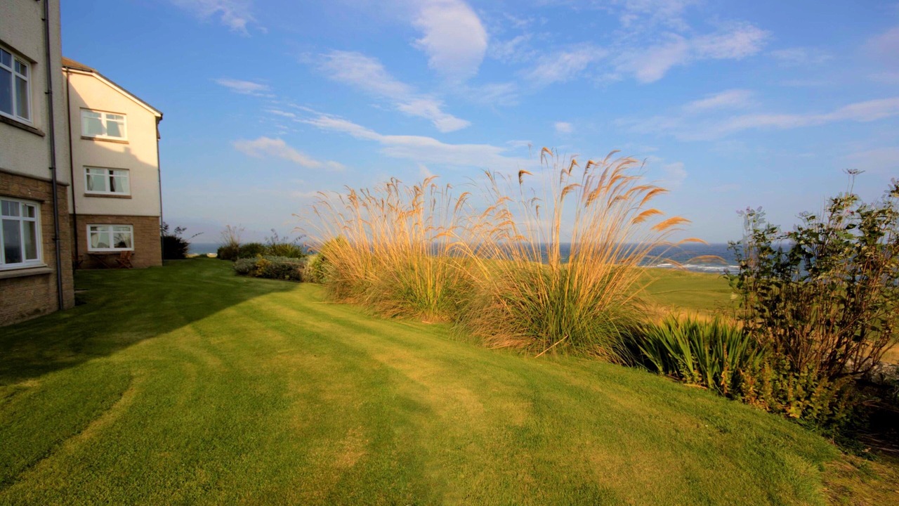 Photo of Outdoor in Brora