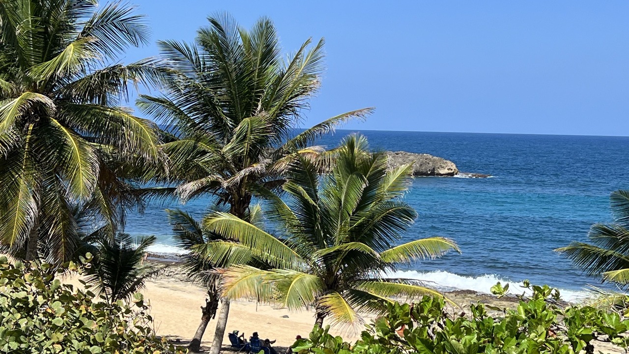 Photo of Others in Manati