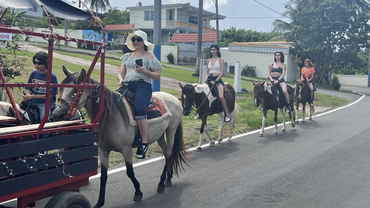 Photo of Others in Manati