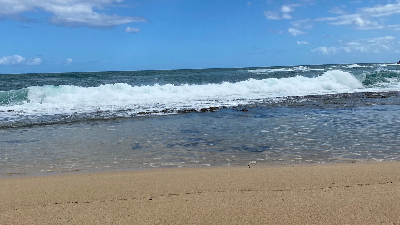 Photo of Others in Manati