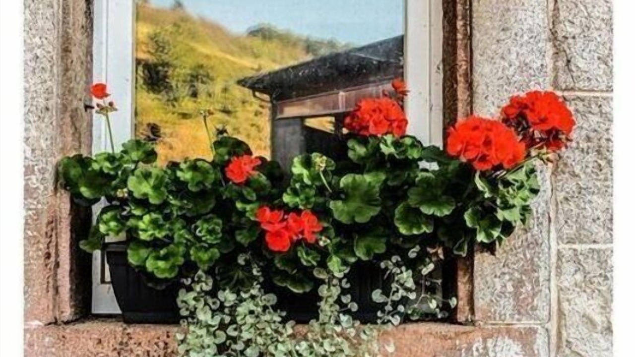 Photo of Outdoor in Oberkirch