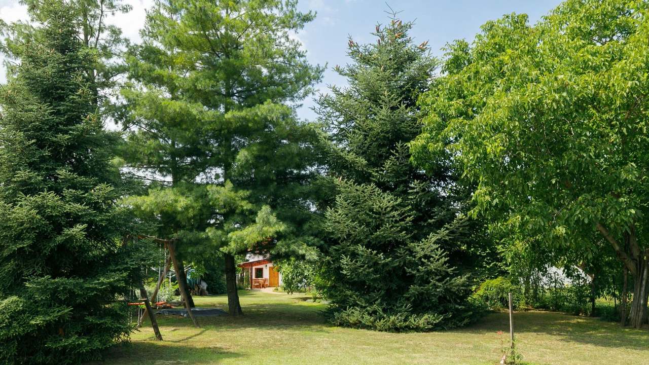 Photo of Outdoor in Latrany