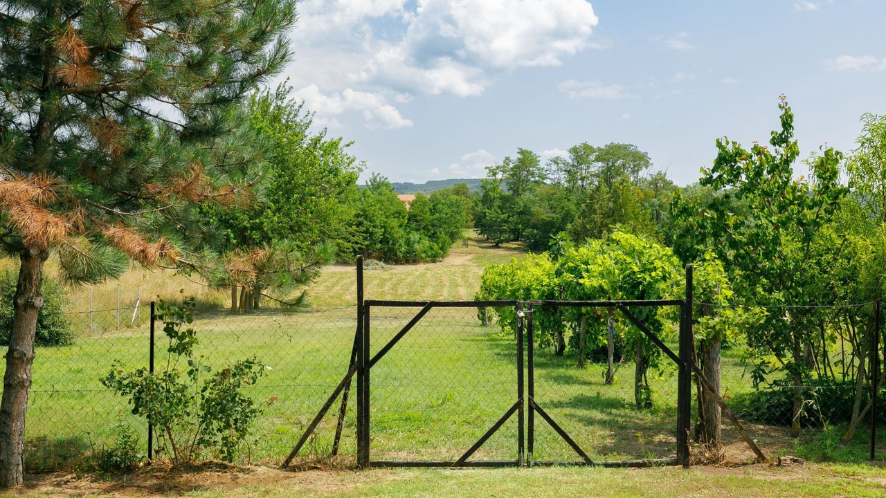 Photo of Outdoor in Latrany