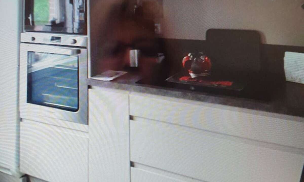 Photo of Kitchen in Sequedin