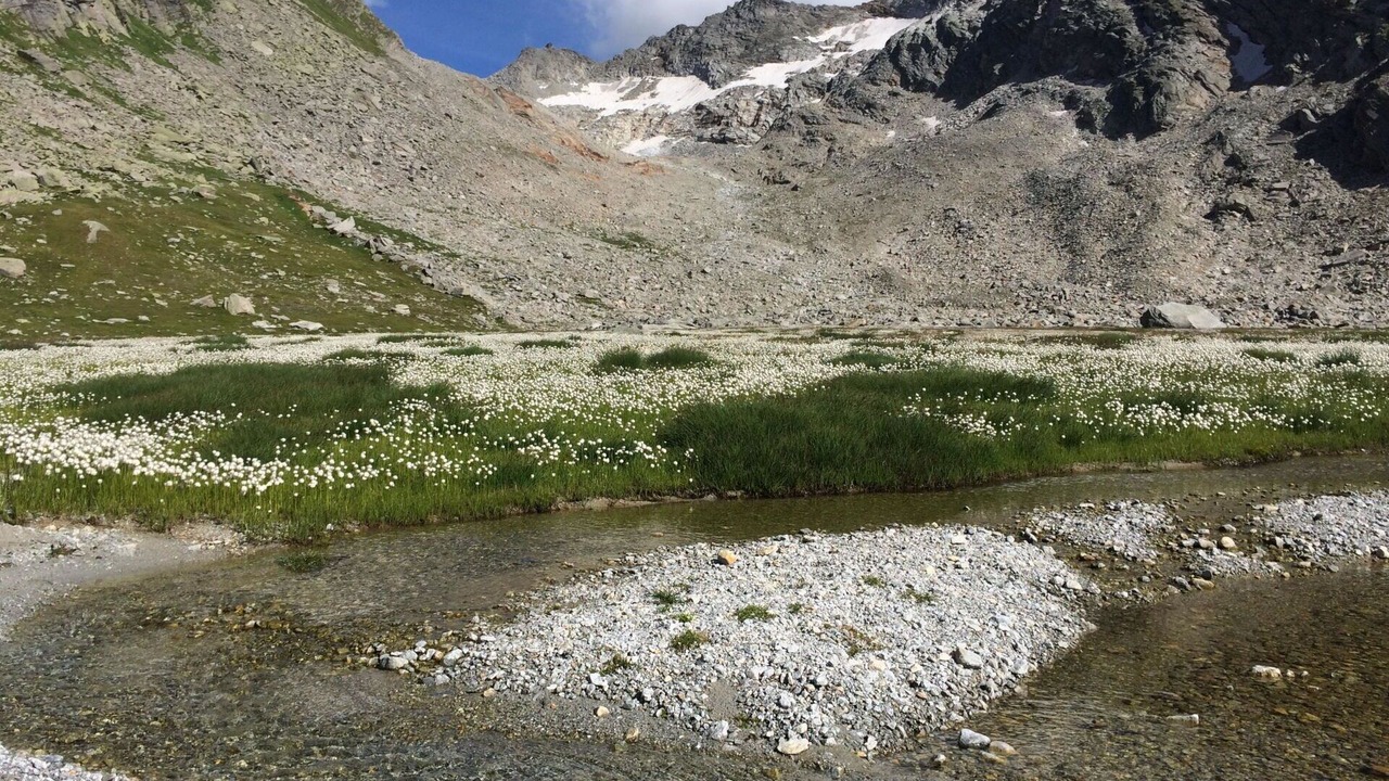 Photo of Outdoor in Saas Almagell