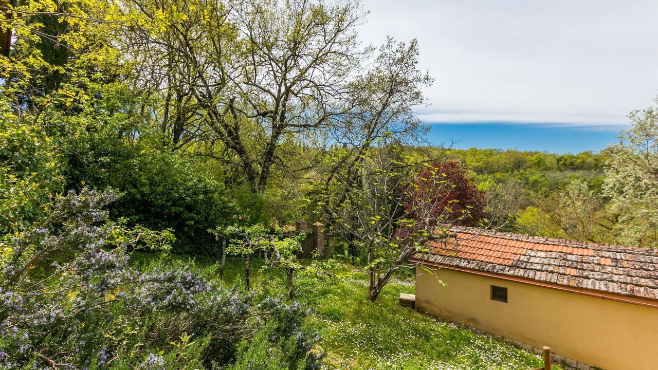 Photo of Outdoor in Montefollonico