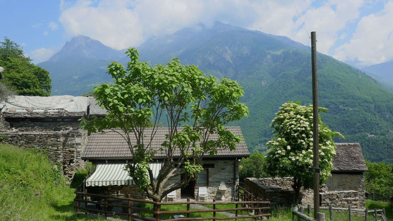 Photo of Others in Semione