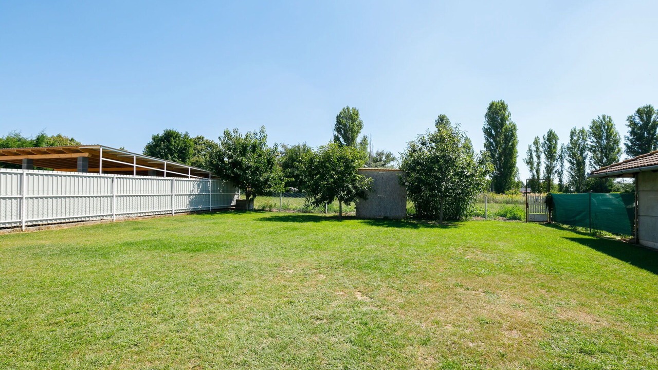 Photo of Others in Balatonszarszo