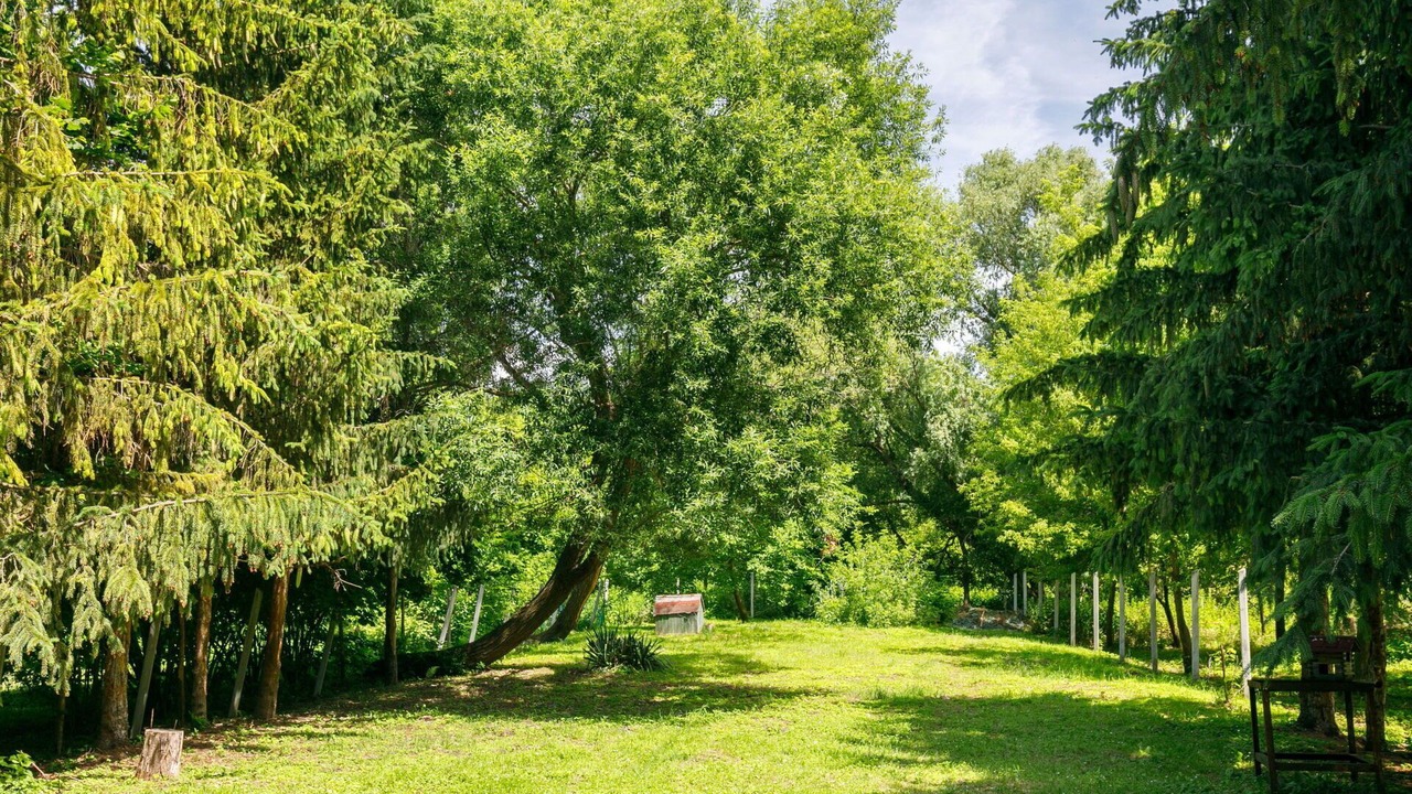 Photo of Others in Balatonlelle