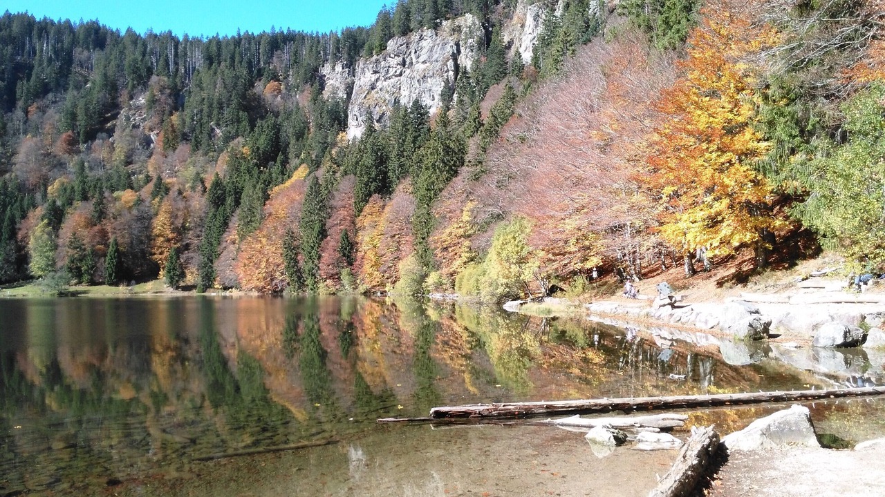 Photo of Others in Hinterzarten