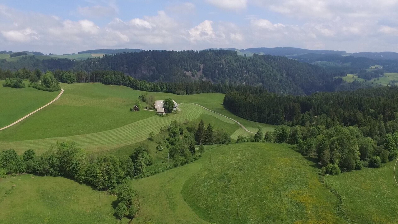 Photo of Outdoor in Hinterzarten