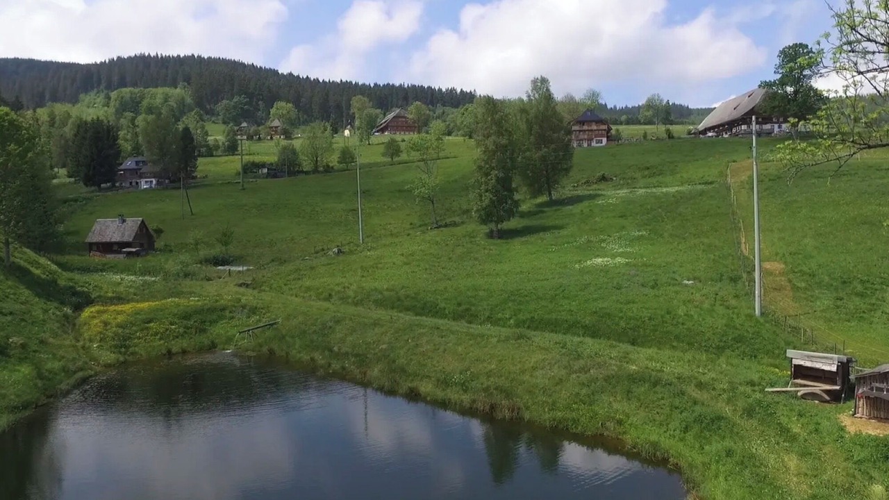 Photo of Others in Hinterzarten
