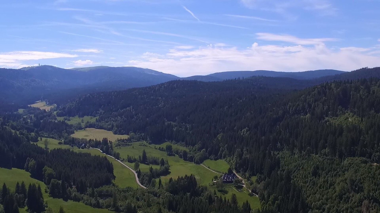 Photo of Others in Hinterzarten