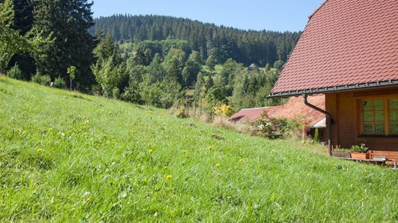 Photo of Outdoor in Hinterzarten