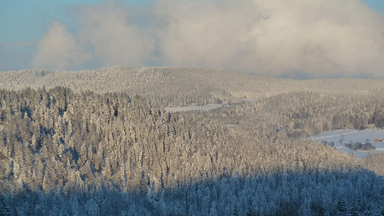 Photo of Others in Hinterzarten