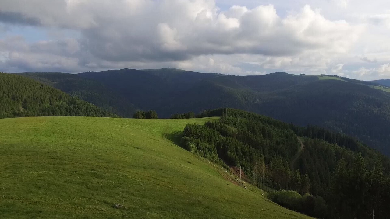 Photo of Others in Hinterzarten