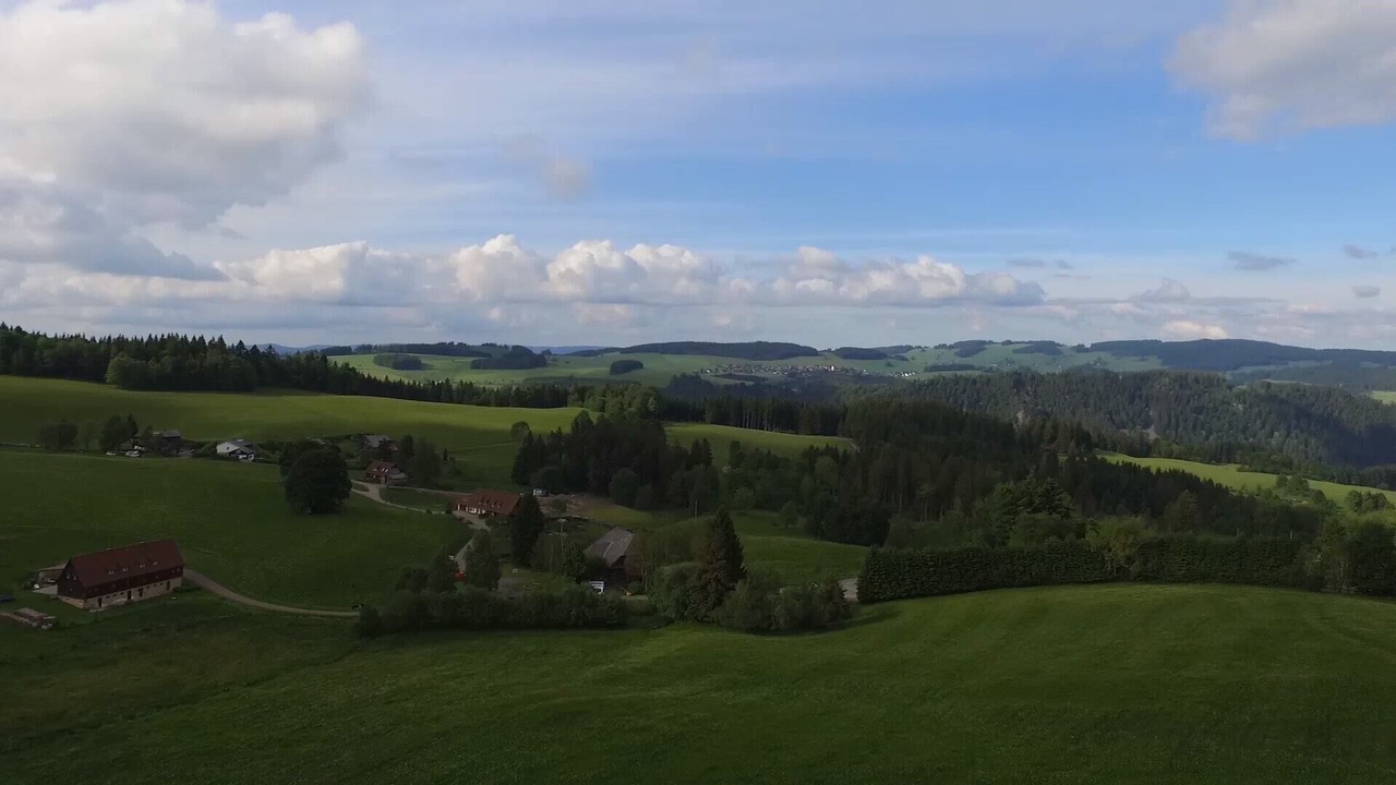 Photo of Others in Hinterzarten