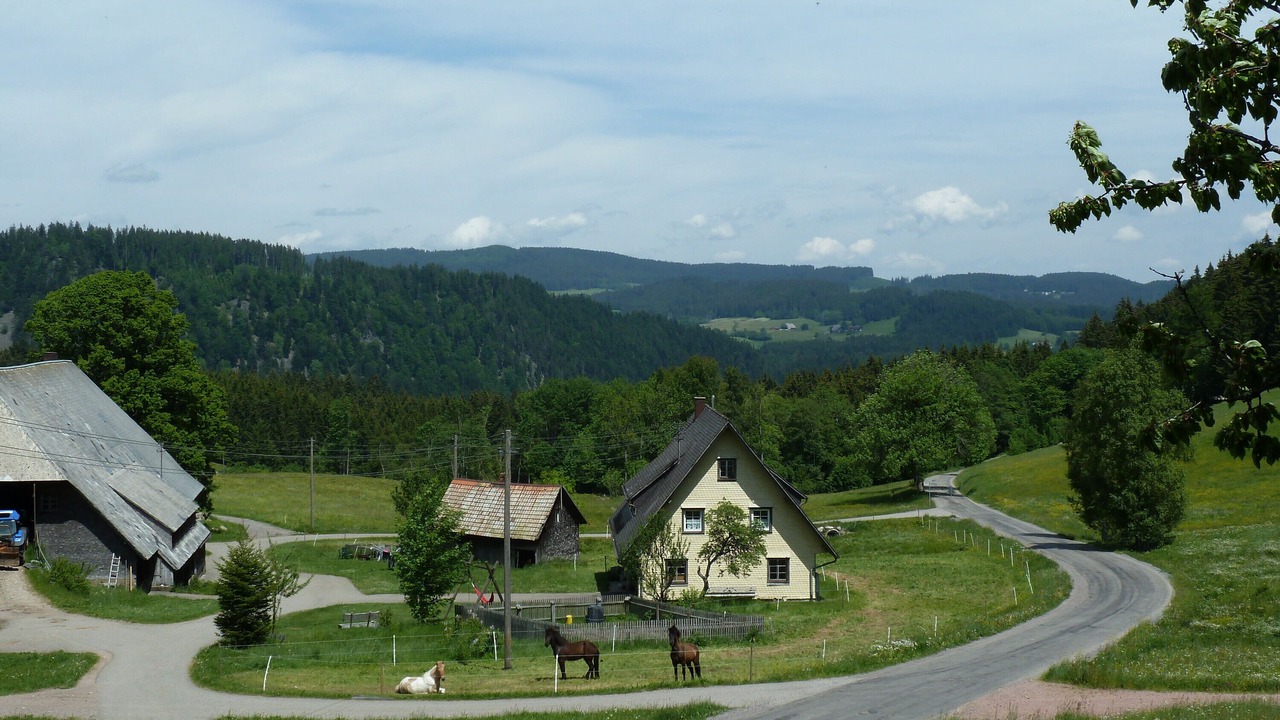 Photo of Others in Hinterzarten