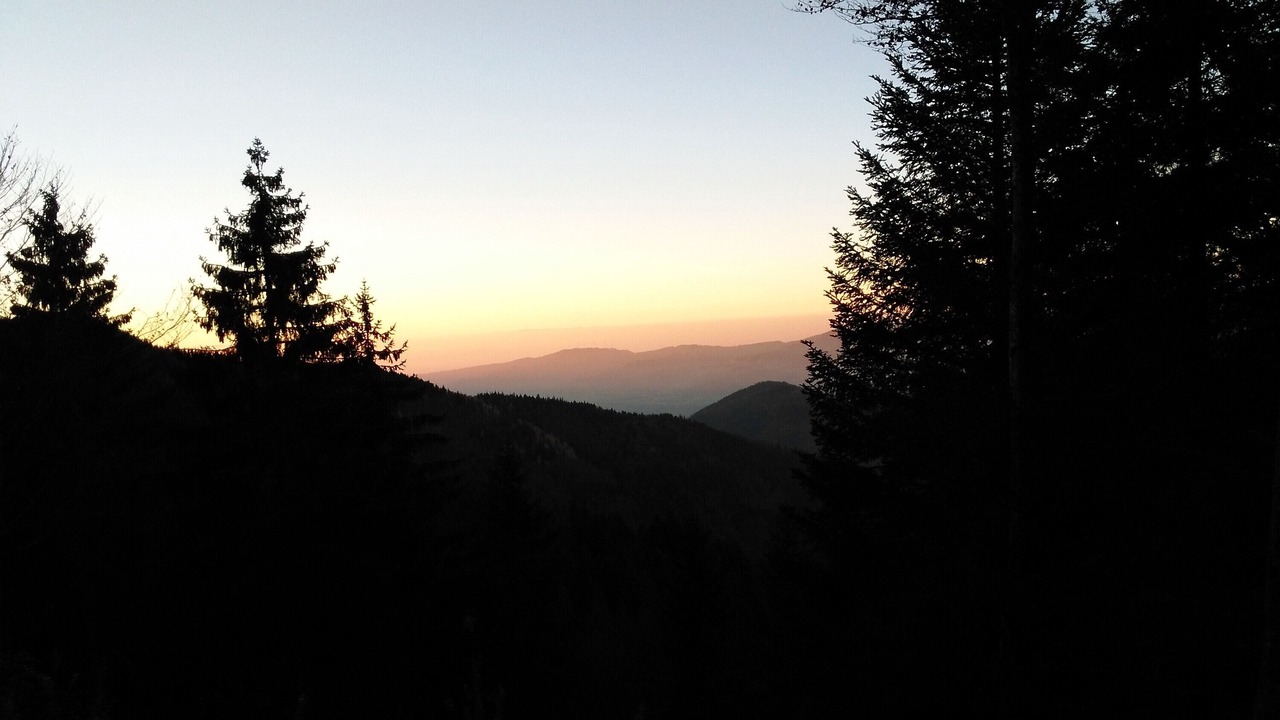 Photo of Others in Hinterzarten