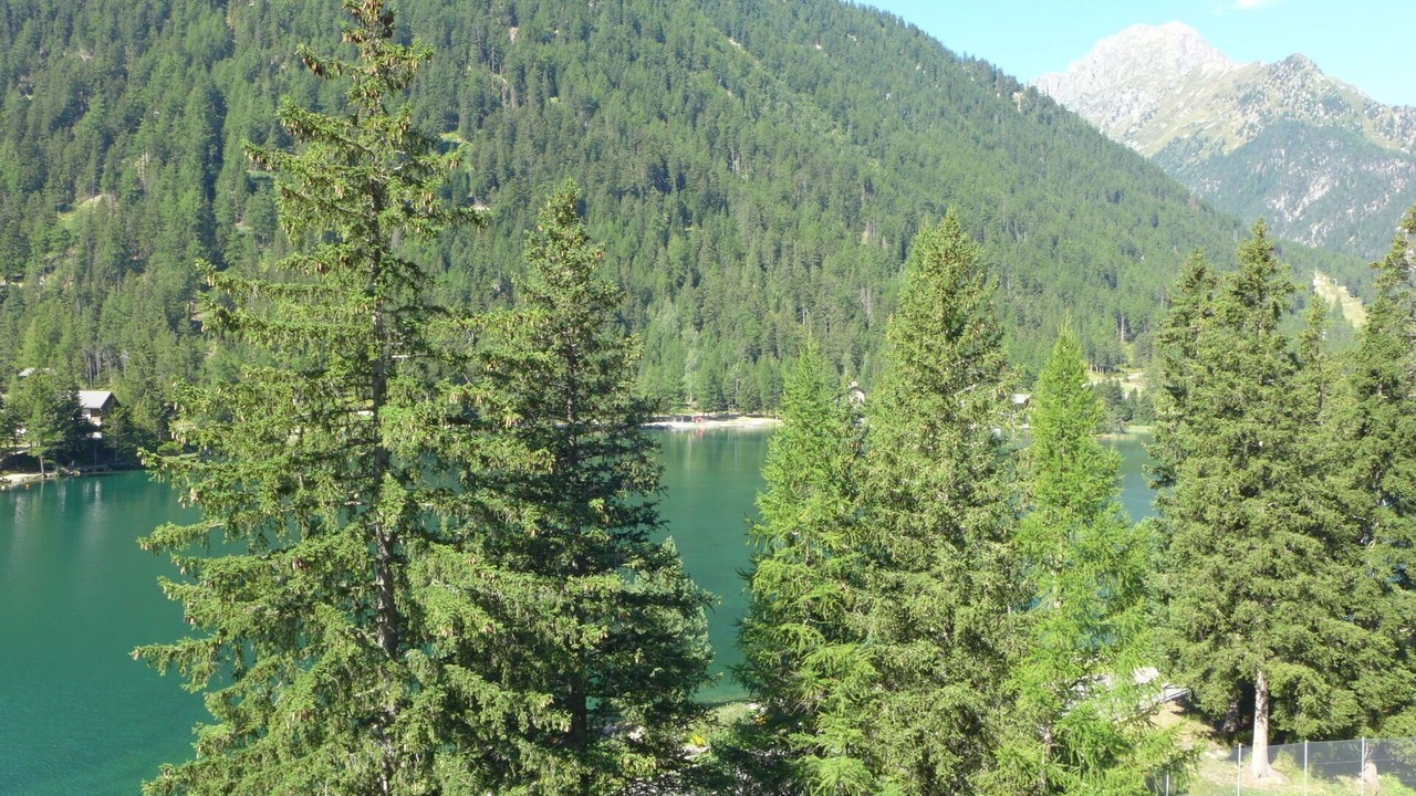 Photo of Outdoor in Champex-Lac