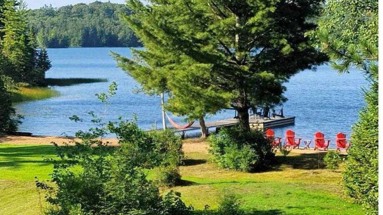 Photo of Outdoor in Algonquin Highlands
