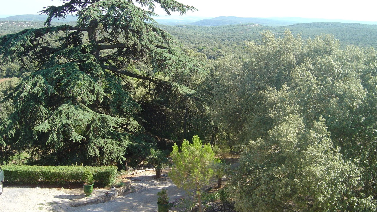 Photo of Outdoor in Viols-le-Fort
