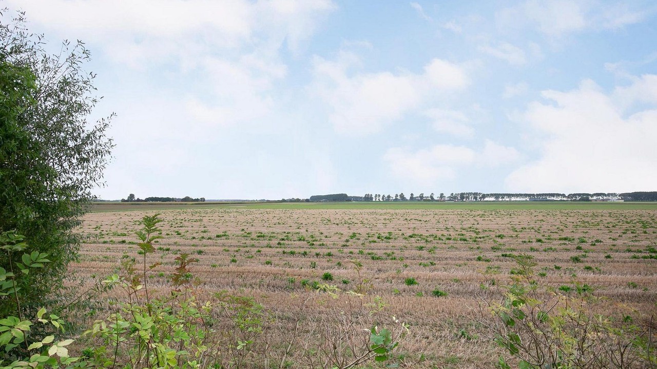 Photo of Others in Municipality of Sluis
