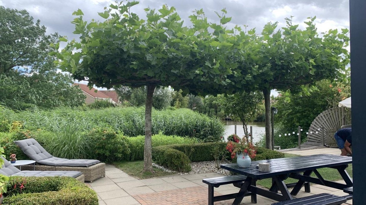 Photo of Outdoor in Breskens
