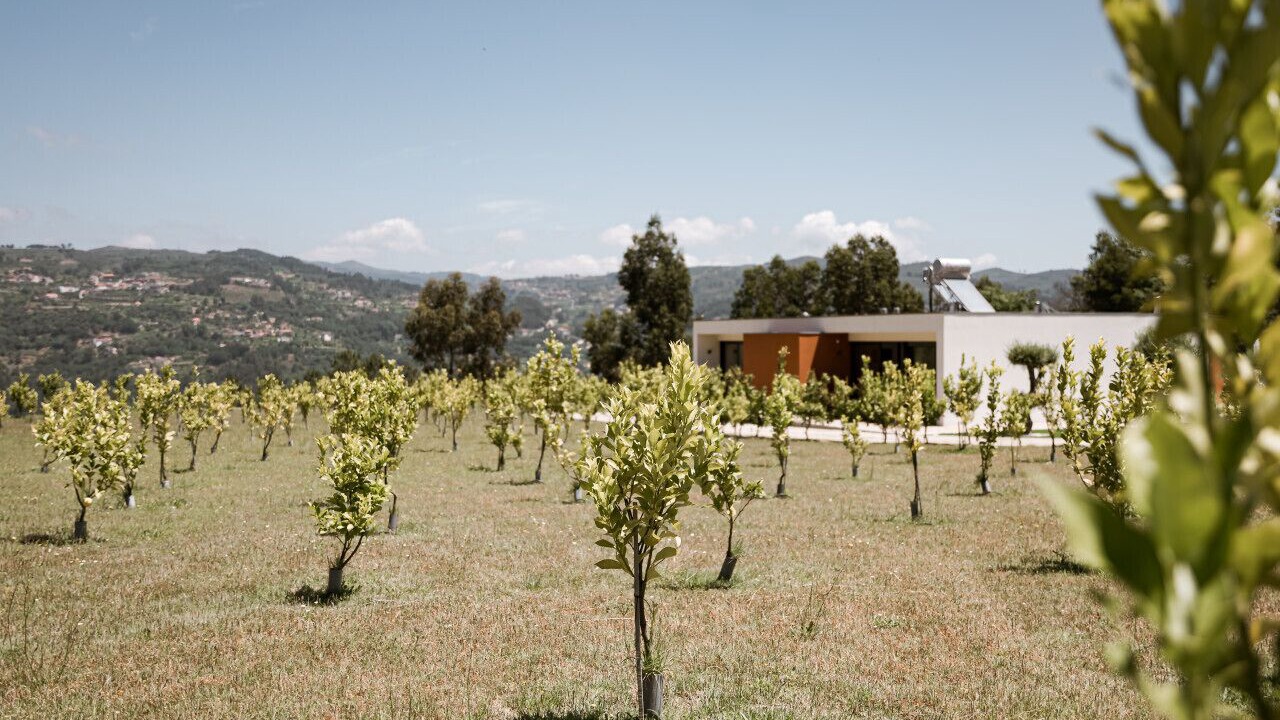 Photo of Outdoor in Pacos de Gaiolo