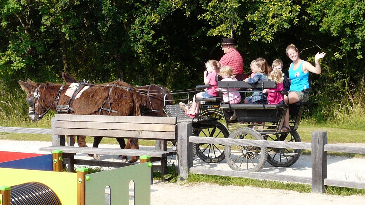 Photo of Outdoor in La Chapelle-Hermier