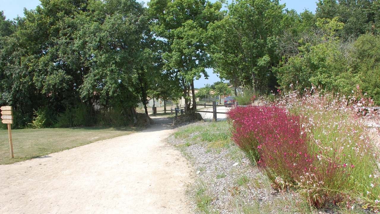 Photo of Outdoor in La Chapelle-Hermier