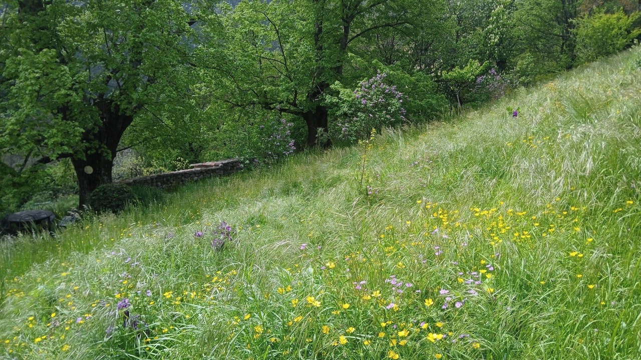 Photo of Others in Castellane