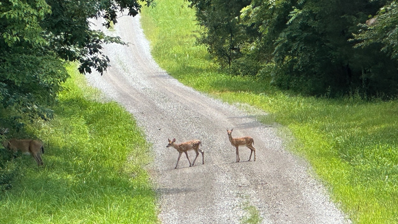 Photo of Outdoor in Pope County
