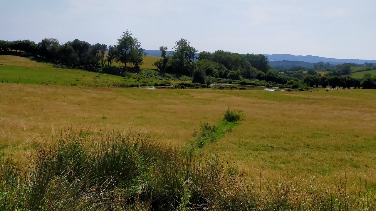 Photo of Others in Brazey-en-Morvan