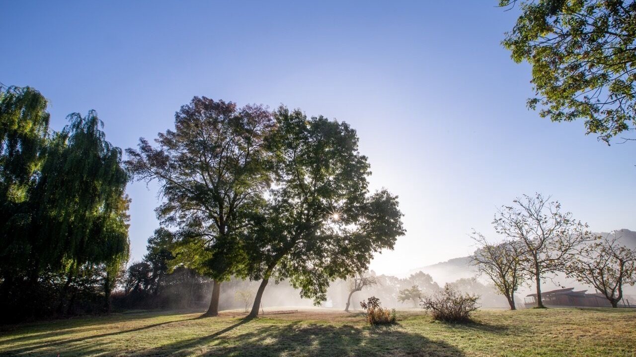 Photo of Outdoor in Castex
