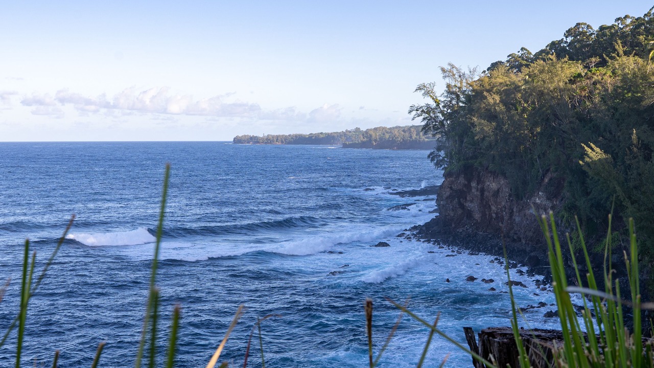 Photo of Others in Hakalau