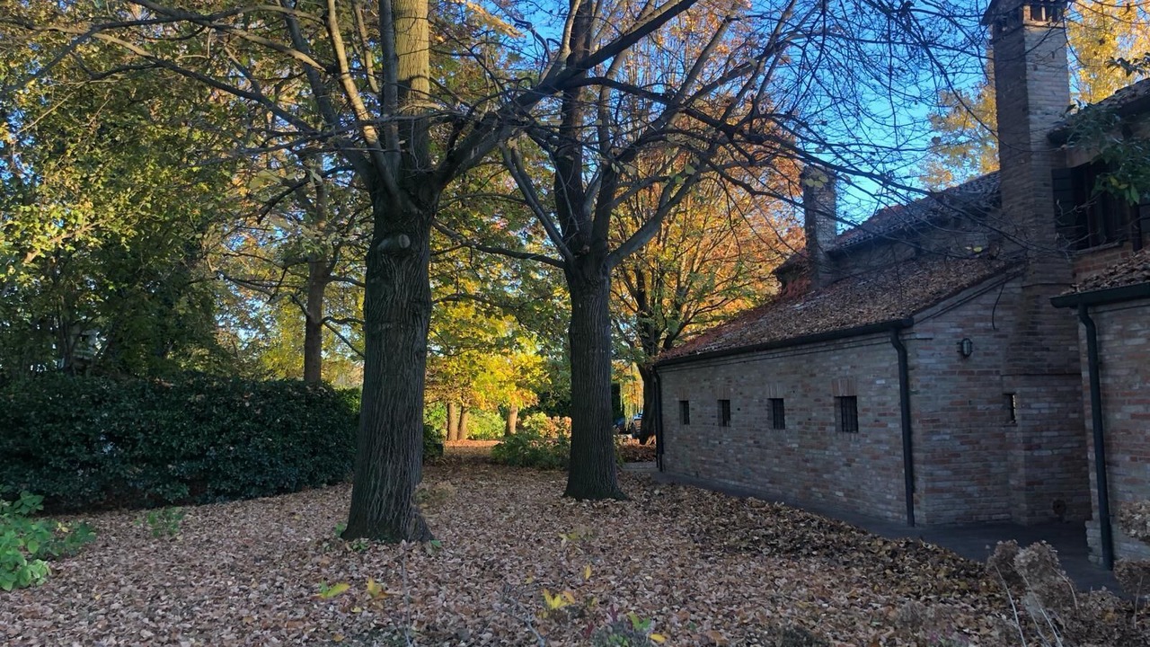 Photo of Outdoor in Padova