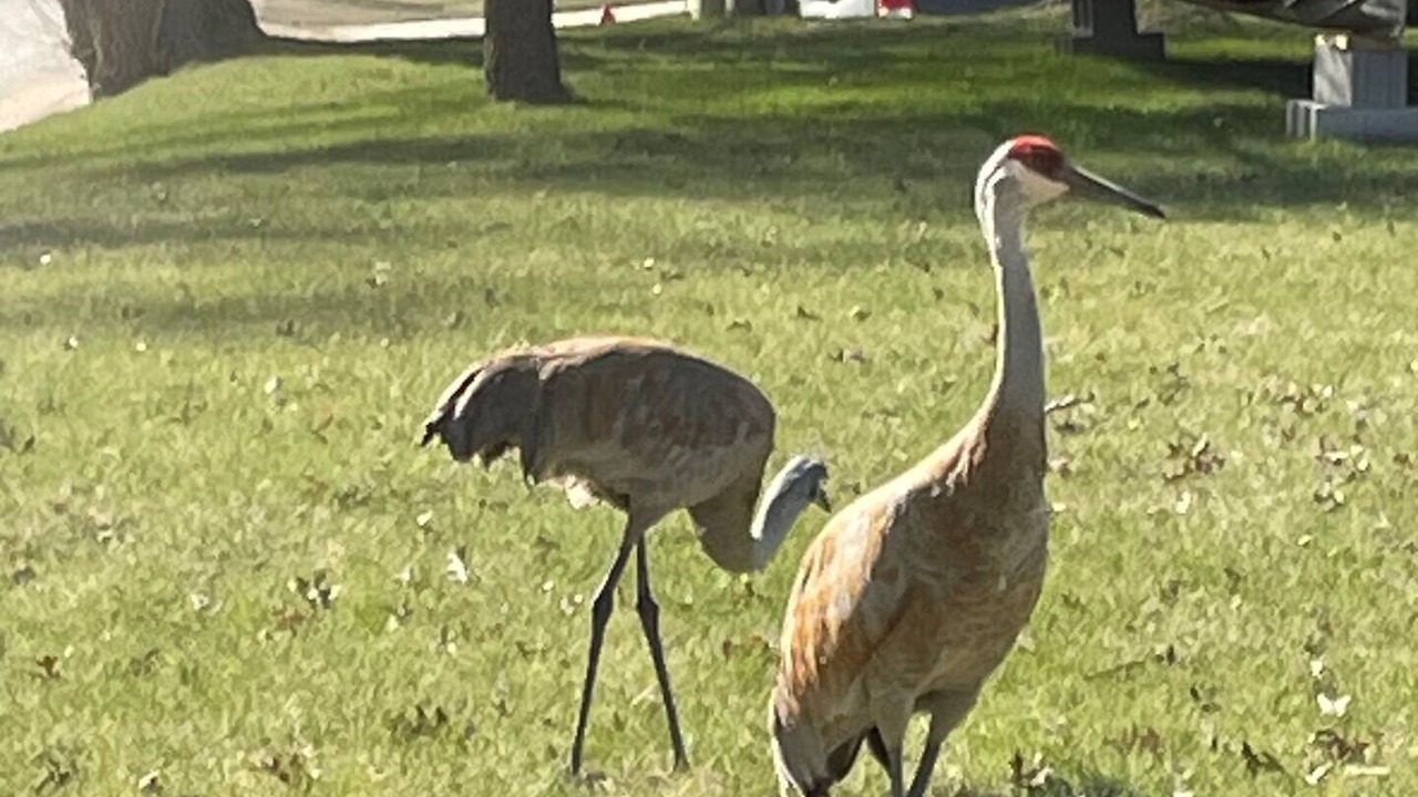 Photo of Others in White Lake