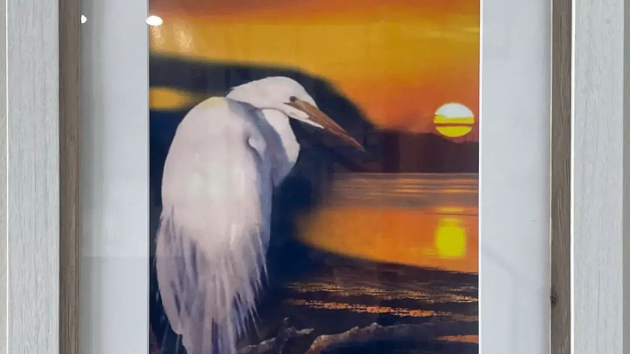 Photo of Others in White Lake